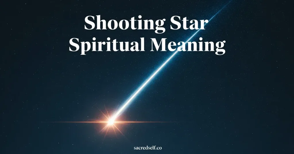 Spiritual Meaning of Shooting Stars: What Does It Mean When You See One?