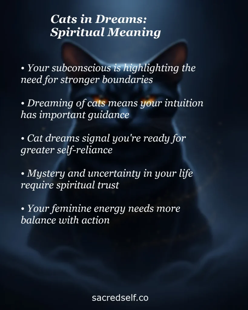 Infographic about cats in dreams spiritual meaning – boundaries, intuition, self-reliance, spiritual trust and feminine energy balance