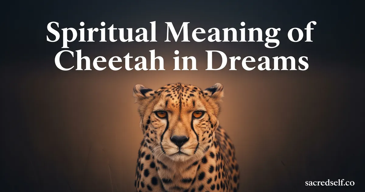 Spiritual Meaning of Cheetah in Dreams: Symbolism and Interpretation