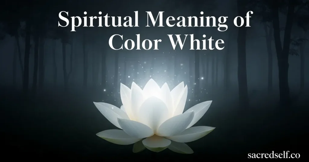 What Does the Color White Mean Spiritually? Sacred Symbolism Explained