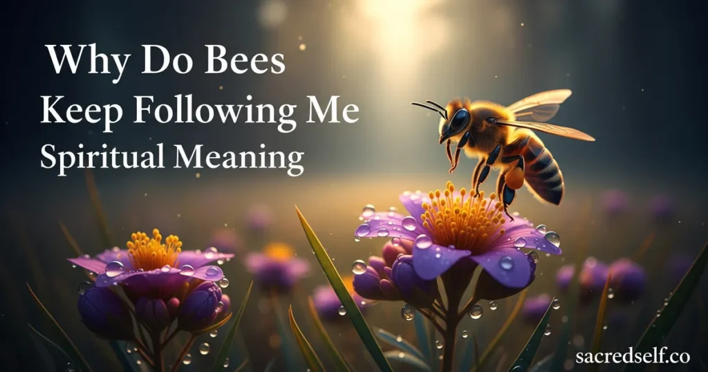 Why Do Bees Keep Following Me? Spiritual Meaning Explained