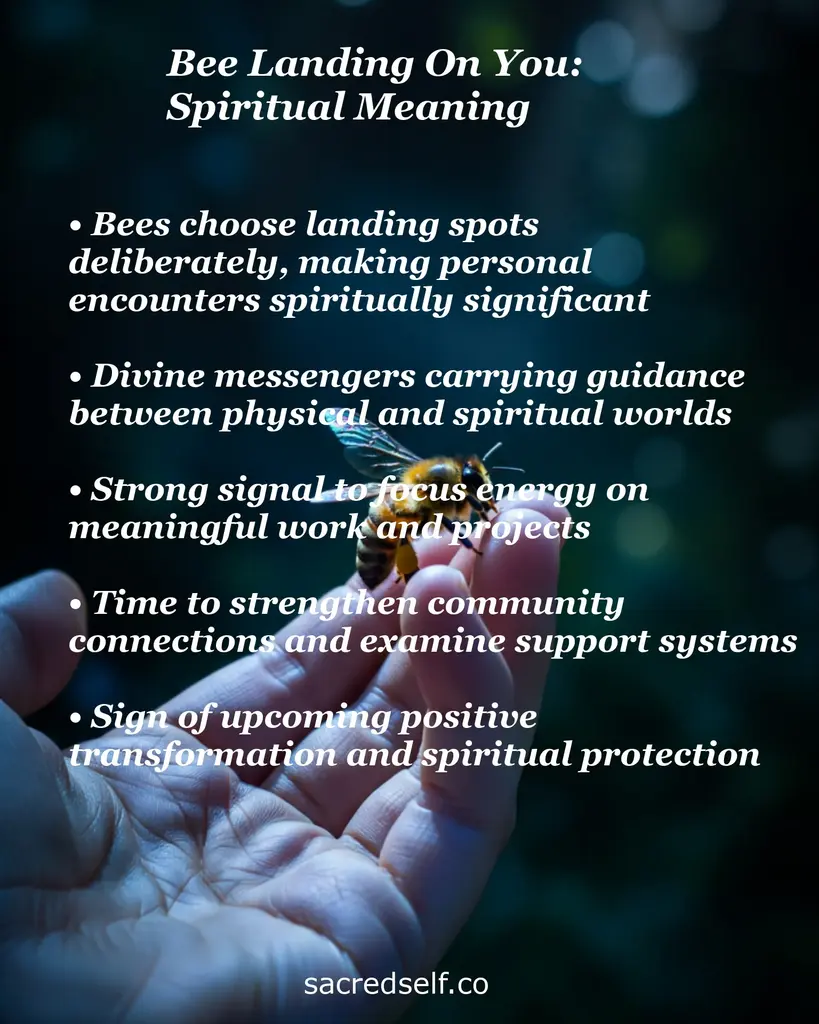 Infographic: bee landing on you spiritual meaning — hand with bee; bullets: divine messenger, focus, community.