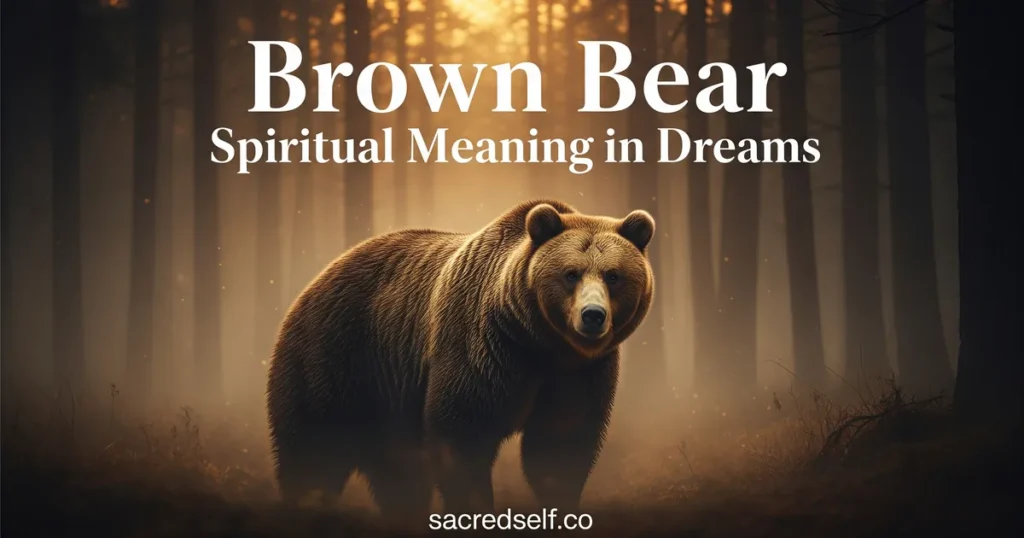 Brown Bear Dreams: Spiritual Meaning and Symbolism