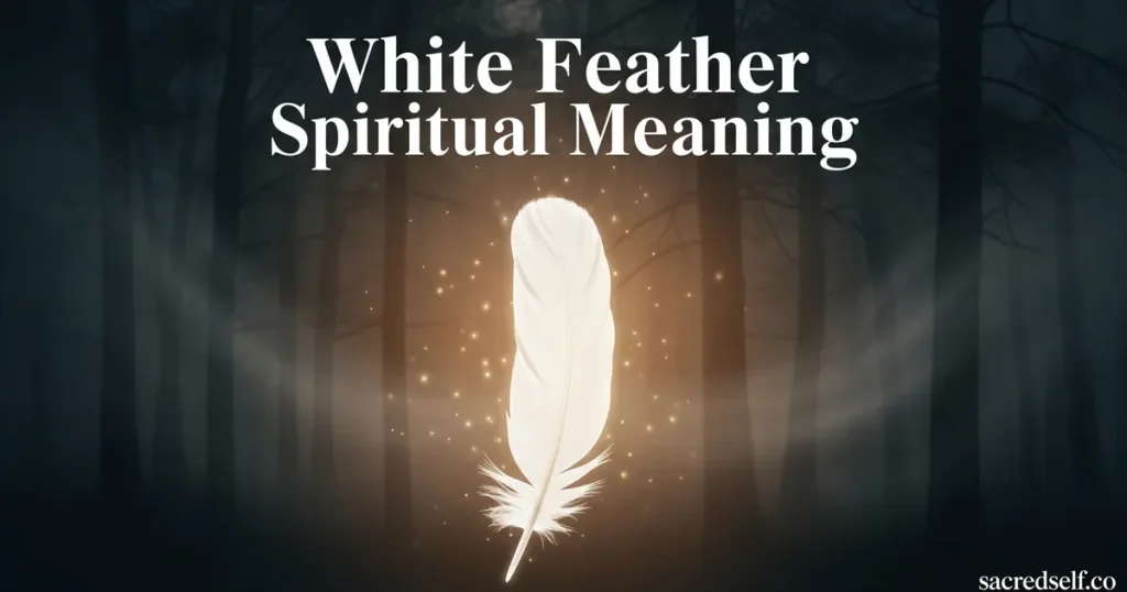 What Does Finding a White Feather Mean Spiritually?