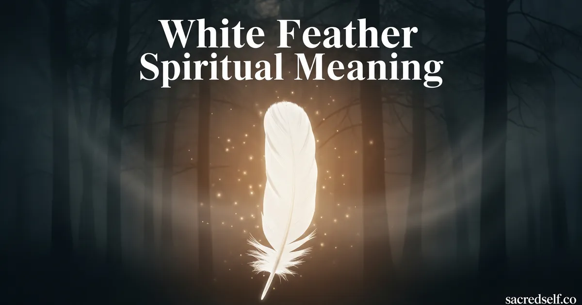 What Does Finding a White Feather Mean Spiritually?