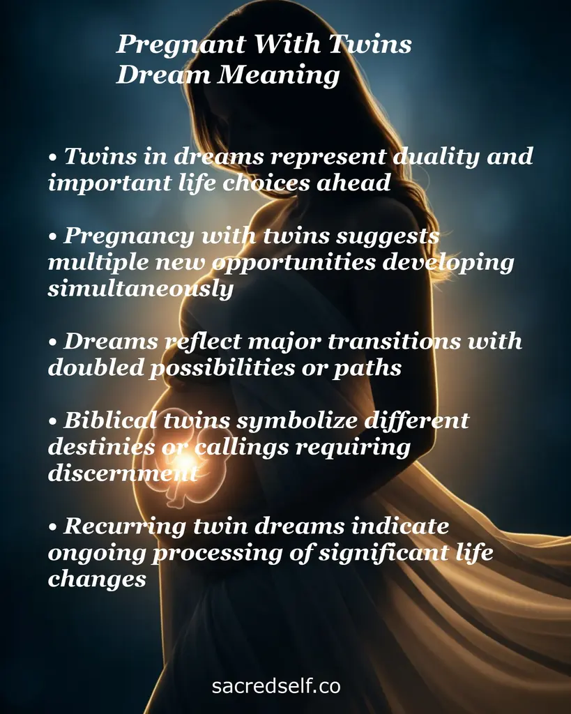 Pregnant silhouette with text bullets on twins dream meaning: duality, new paths, transitions, biblical symbolism.