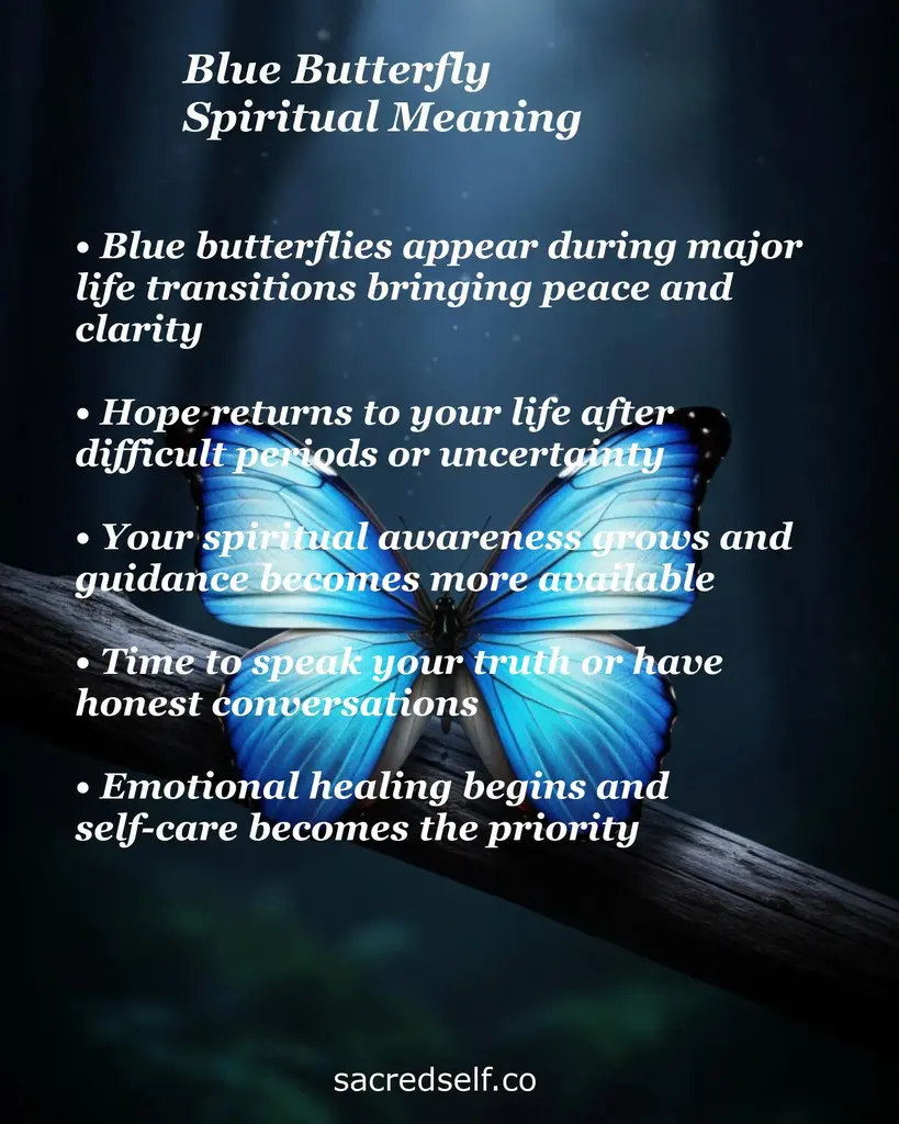 Blue butterfly on a branch with overlay text about transitions, hope, spiritual growth, speaking truth and emotional healing