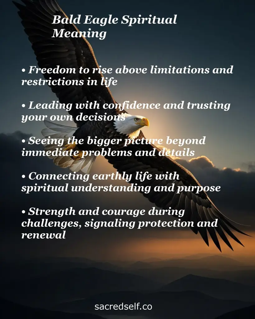 Bald eagle soaring over sunset with text about freedom, leadership, bigger-picture vision, spiritual connection and strength