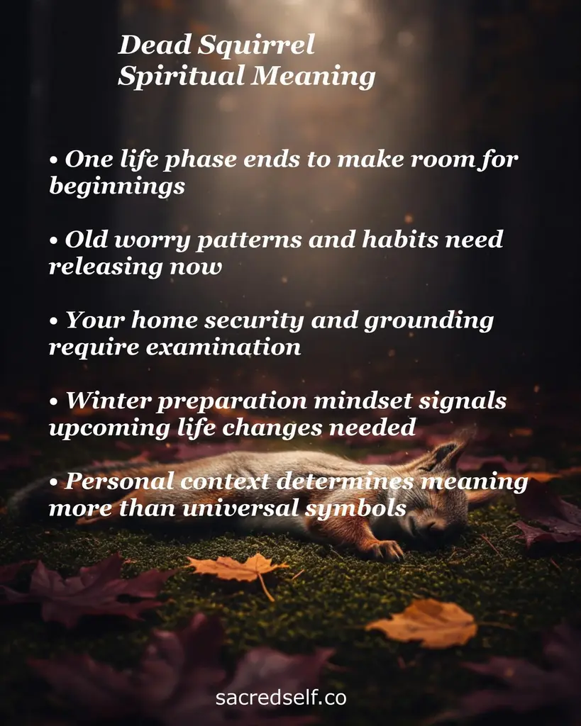 Dead squirrel on moss with overlaid text about spiritual meanings: endings, releasing habits, home security, winter prep, context