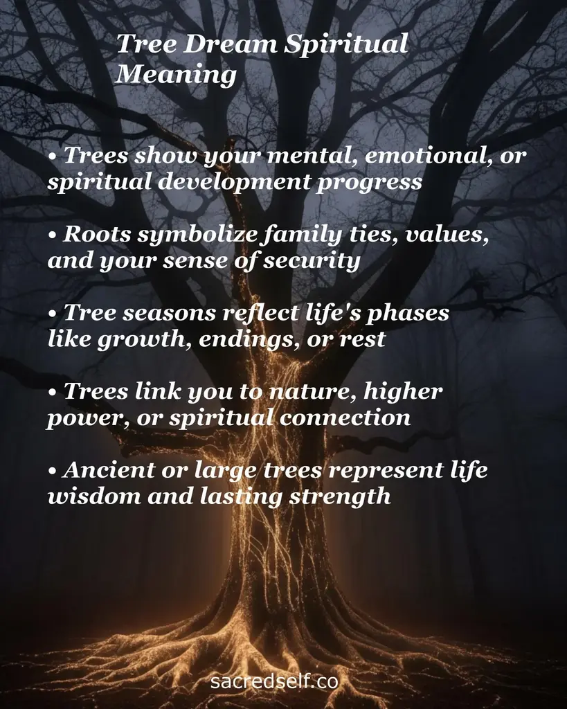 Glowing tree in a dark forest with text about dreams: spiritual growth, roots as family ties, life phases, wisdom