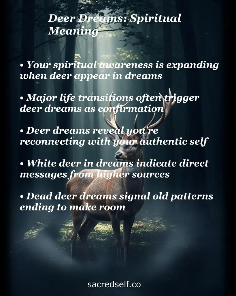 Stag in misty forest with overlaid text about deer dreams: expanding spiritual awareness, life transitions, messages, endings.