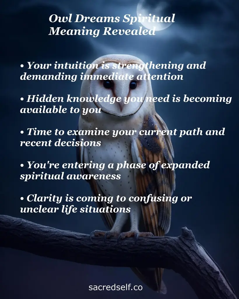 Moonlit barn owl on a branch with overlay text about spiritual meanings of owl dreams: intuition, hidden knowledge, clarity