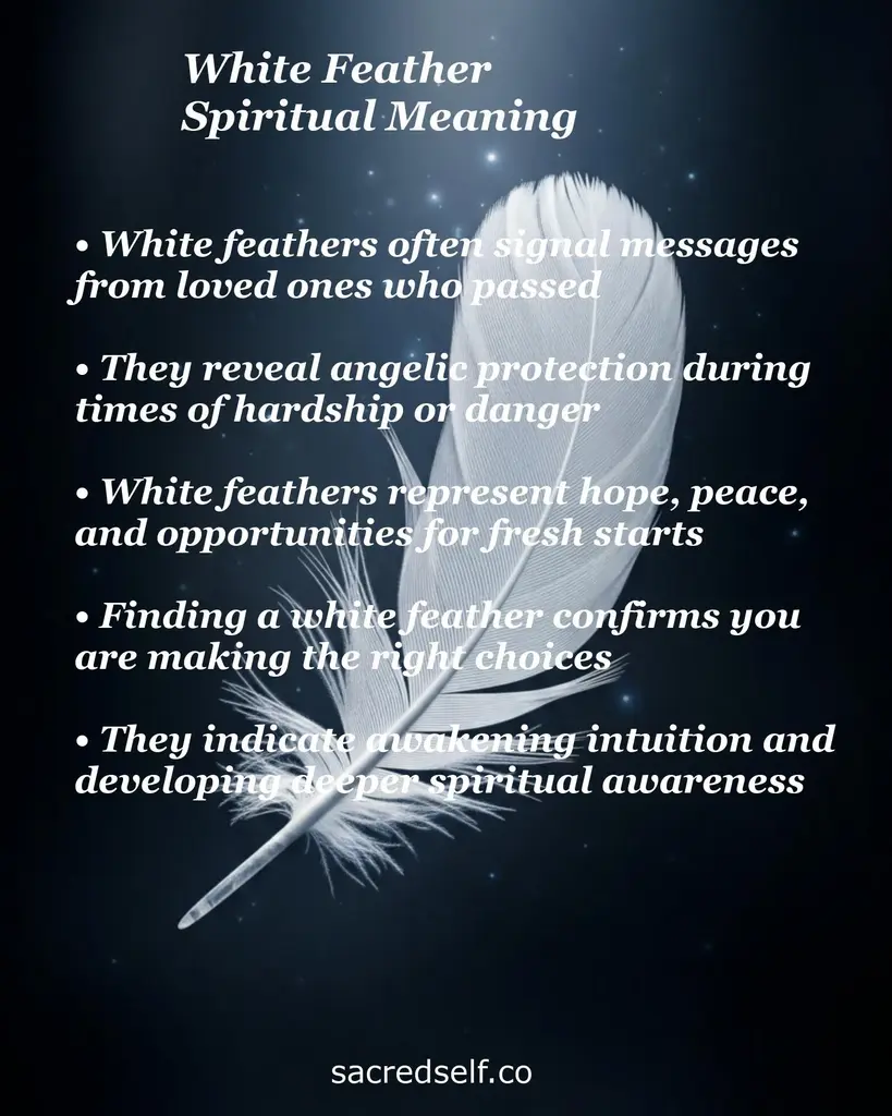 White feather on dark starry background with text about messages from loved ones, angelic protection, hope, and fresh starts
