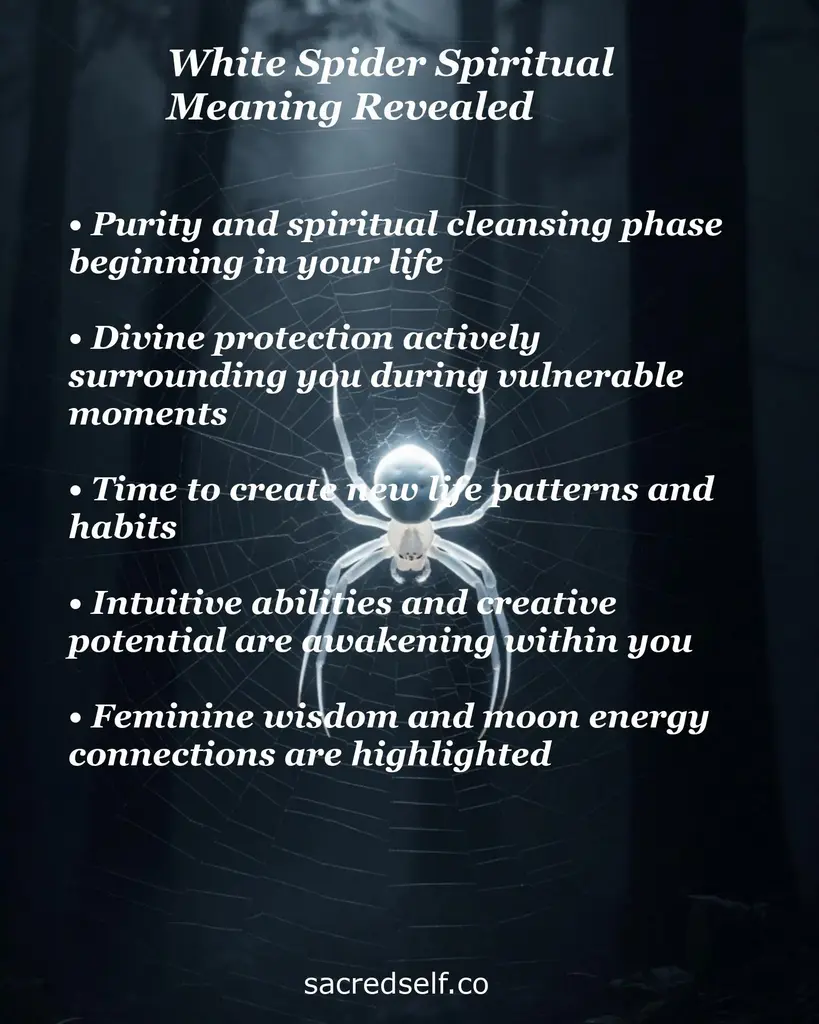 White spider on a glowing web in a dark forest with text about purity, protection, new life patterns, intuition, feminine wisdom.