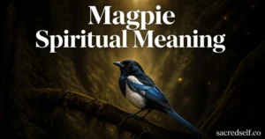 7 Spiritual Meanings of Magpies (And What They Reveal)