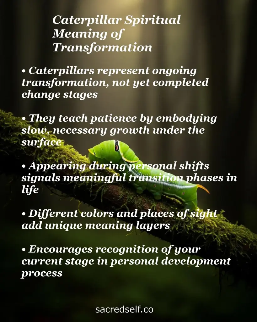 Green caterpillar on a mossy branch with text on spiritual meaning: ongoing transformation, patience, and life transitions.