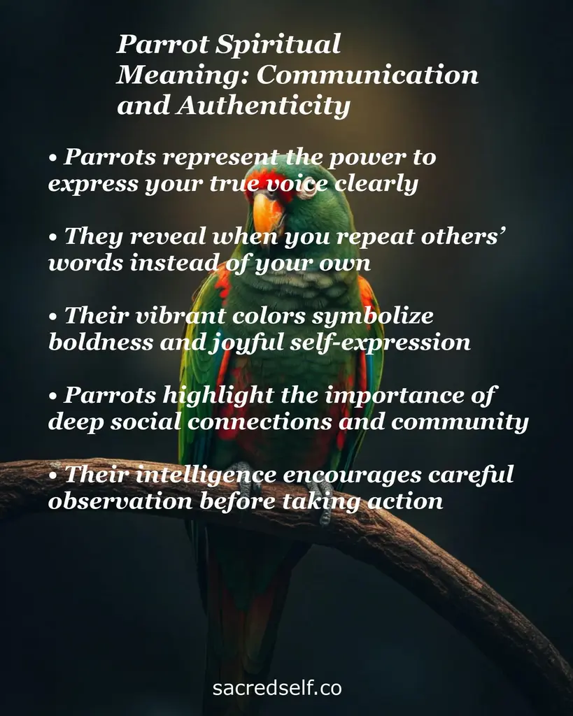 Colorful parrot perched on a branch with overlay text about the spiritual meaning of a parrot: communication, authenticity