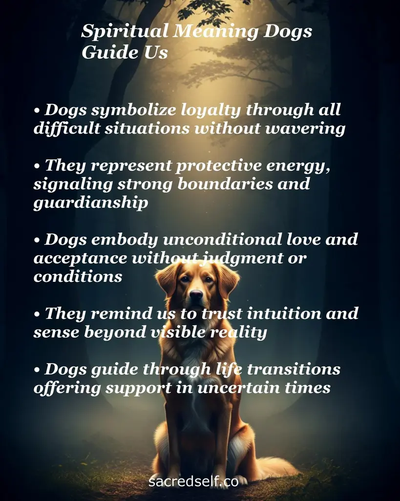 Golden retriever in a sunlit forest with text about dogs symbolizing loyalty, protection, unconditional love, intuition, guidance.