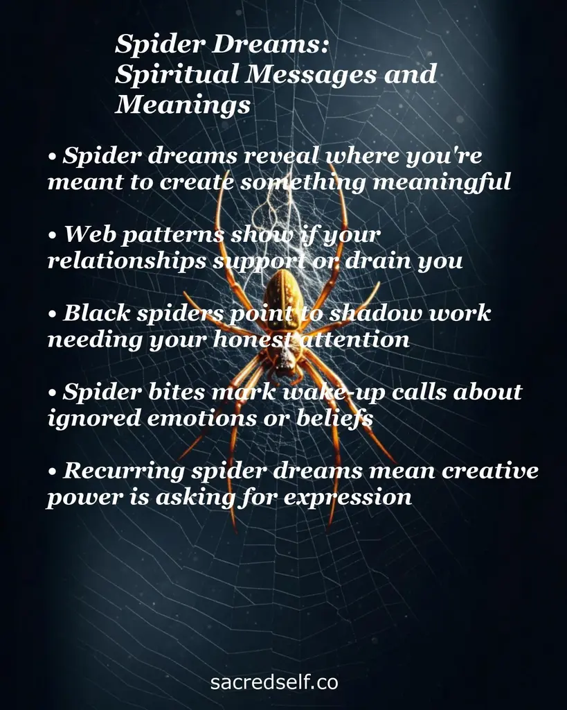 Spider on a web with overlay text about spiritual meanings: purpose, relationships, shadow work, wake-up calls, creativity